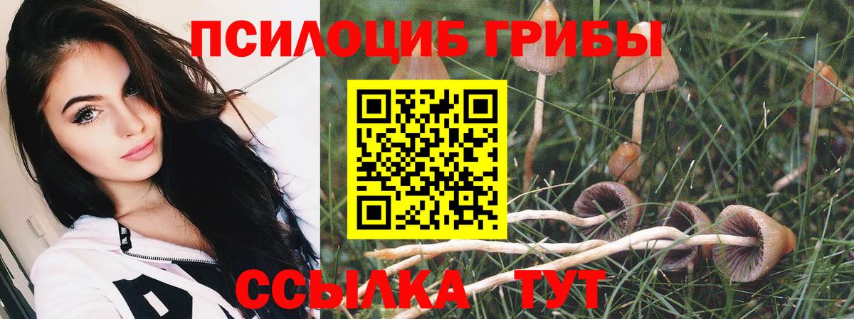 Галлюциногенные грибы Psilocybine cubensis  Вход с VPN  Псилоцибиновые грибы мухоморы  Отрадное 